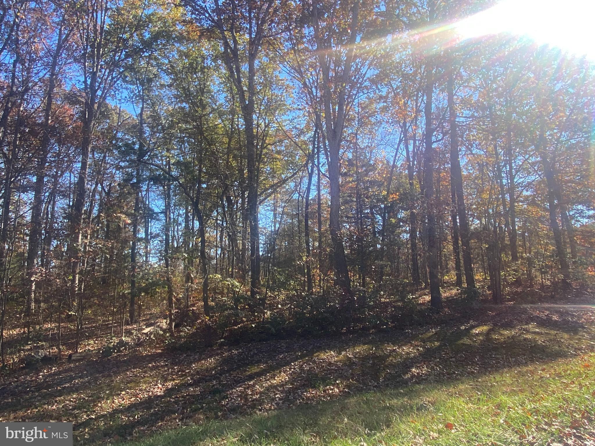 0 Cornfield Lane Rhoadesville, VA 22542 - Photo 12 of 14