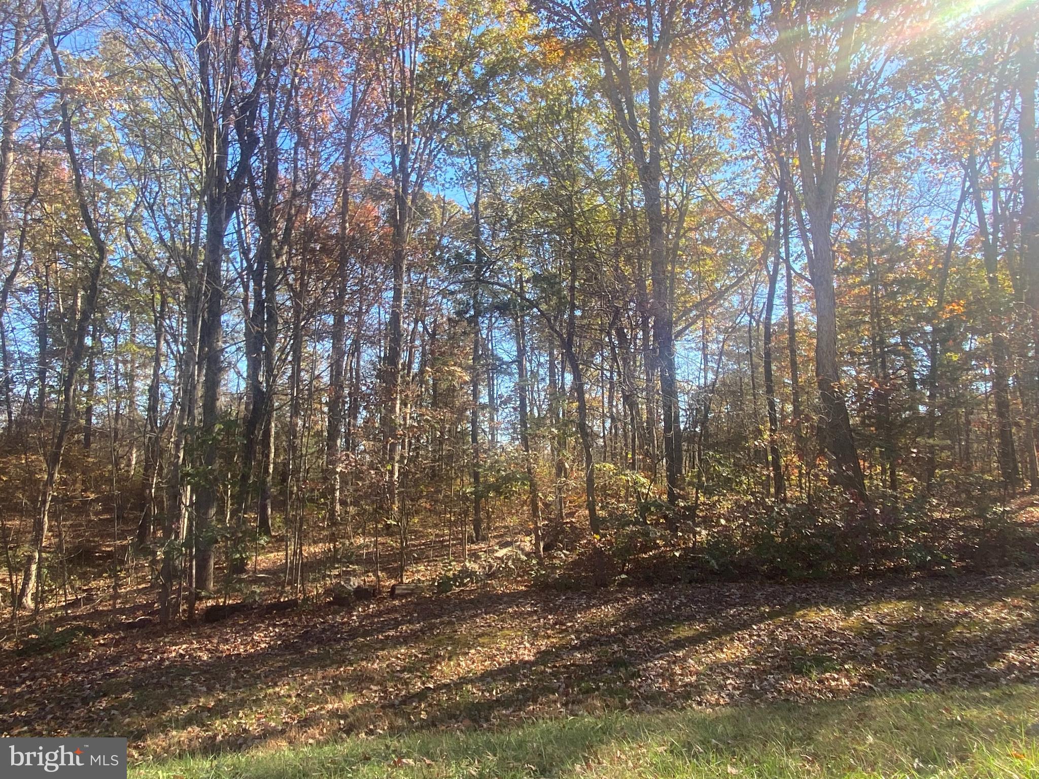 0 Cornfield Lane Rhoadesville, VA 22542 - Photo 14 of 14