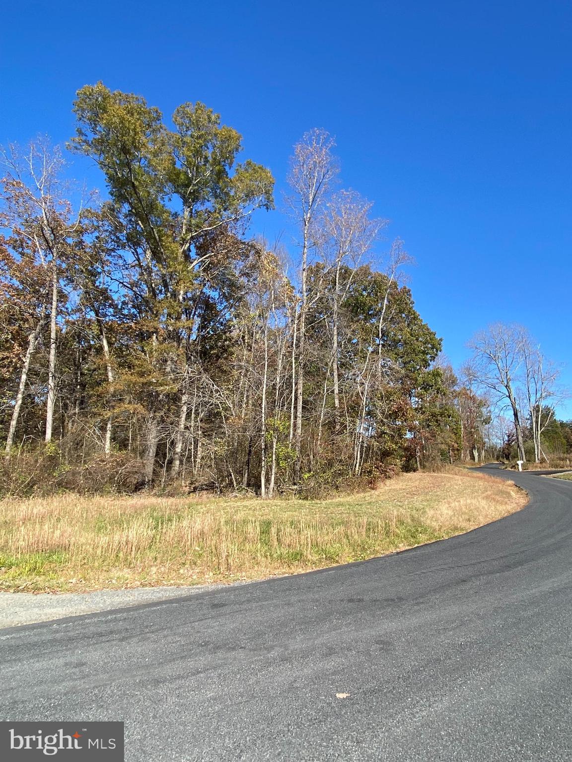 0 Cornfield Lane Rhoadesville, VA 22542 - Photo 2 of 14