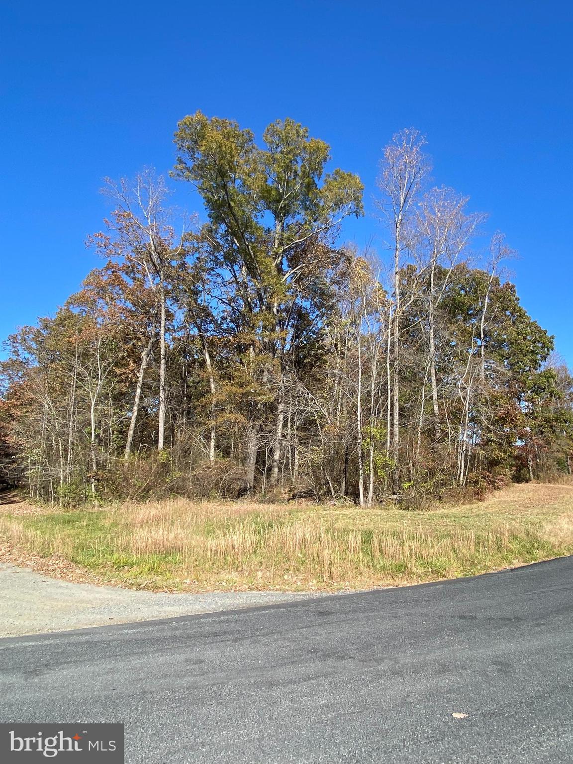 0 Cornfield Lane Rhoadesville, VA 22542 - Photo 3 of 14