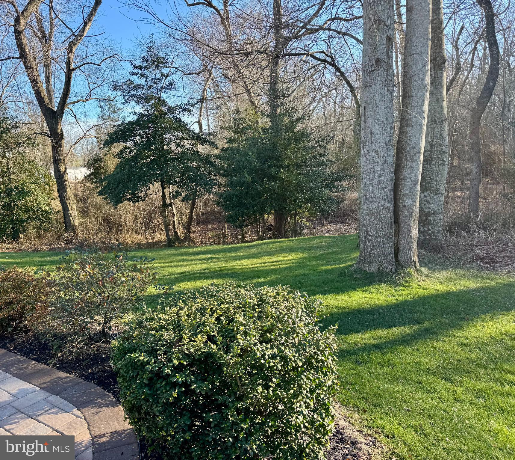 30553 Silverton Road Frankford, DE 19945 - Photo 3 of 3 a view of a golf course with a trees