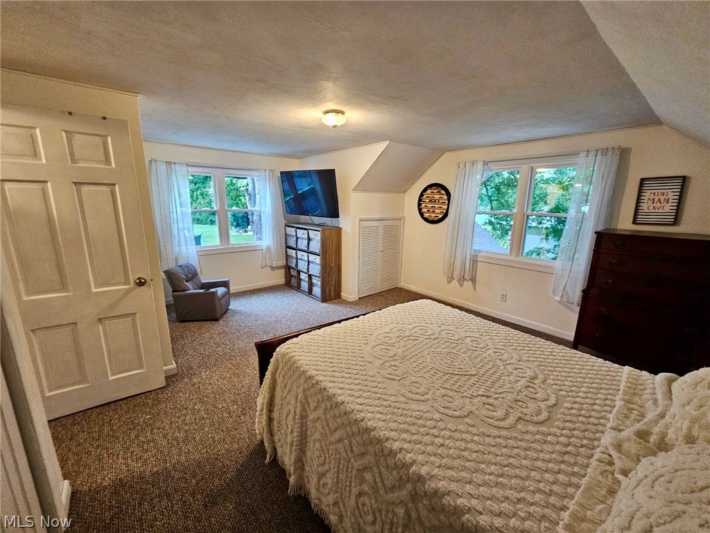 6620 West Lake Road Vermilion, OH 44089 - Photo 23 of 34 Carpeted room featuring multiple windows, a paneled door, and a built-in closet