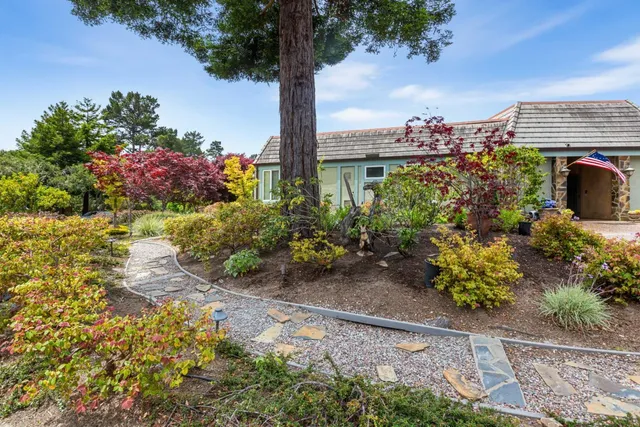 a view of a garden with a flower in a garden