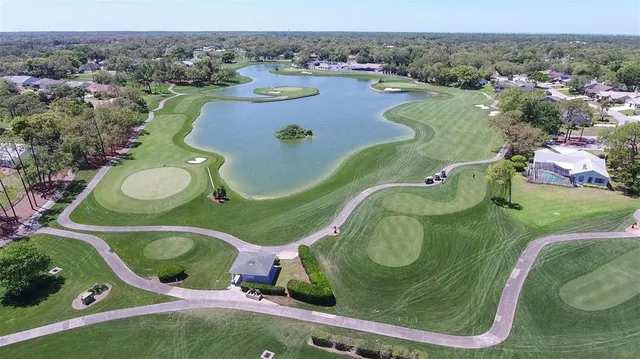 an aerial view of a residential houses with outdoor space and pool