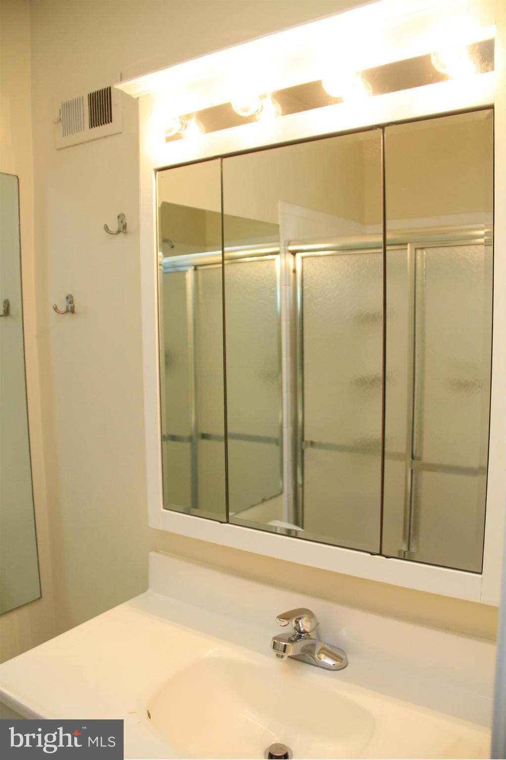 2417 Alsop Court Reston, VA 20191 - Photo 14 of 25 Bath (Master)