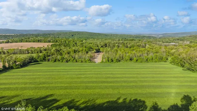 a view of a green field with an ocean