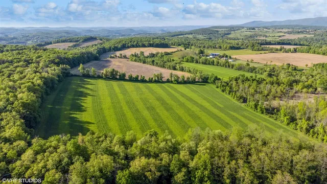 a view of lake with green space