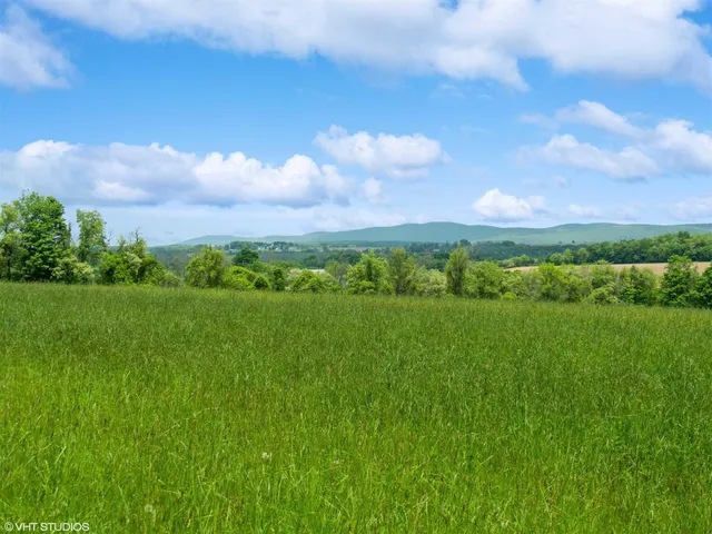 a view of a city with lush green forest