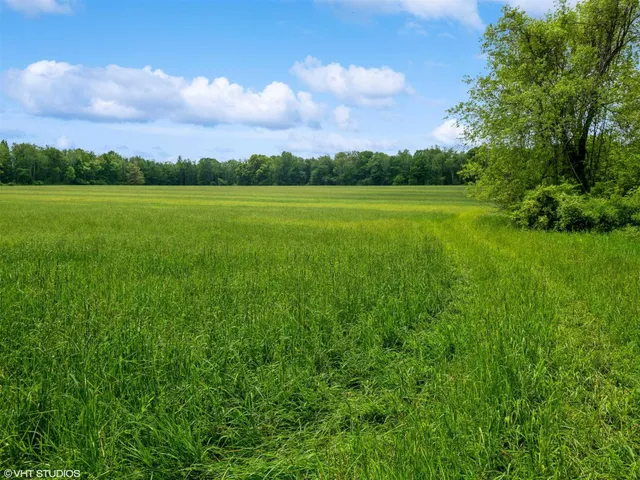 a view of a grassy field with trees in the background