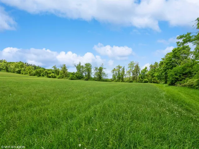 a view of a field with trees in background