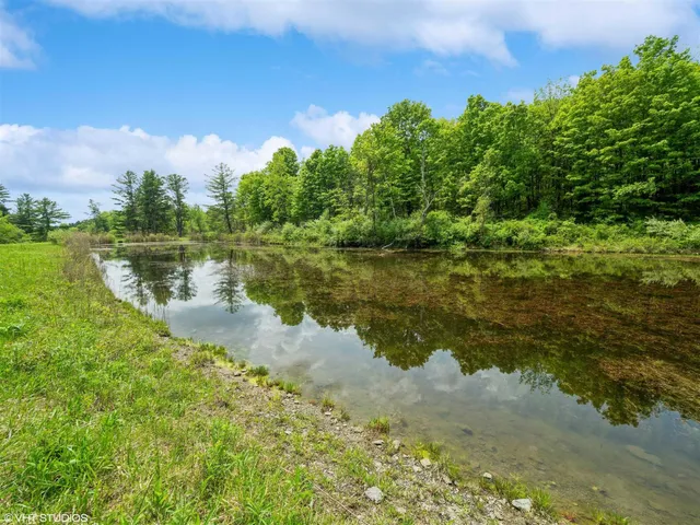 a view of a big yard with plants and large trees