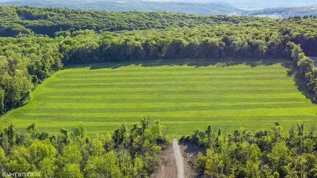a view of a field with an ocean