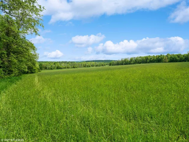 a view of a city with lush green forest