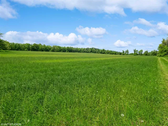a view of a city and green space