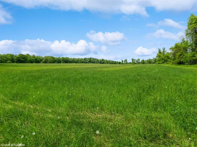 a view of a city with lush green forest