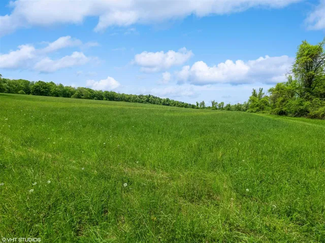 a view of a big yard with large trees