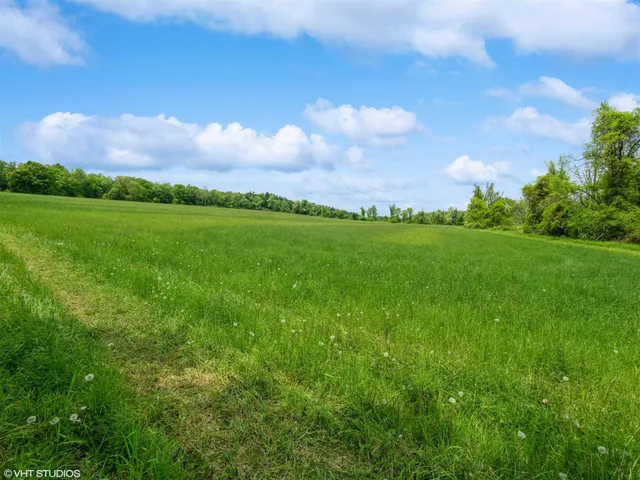 a view of a park with large trees and a big yard