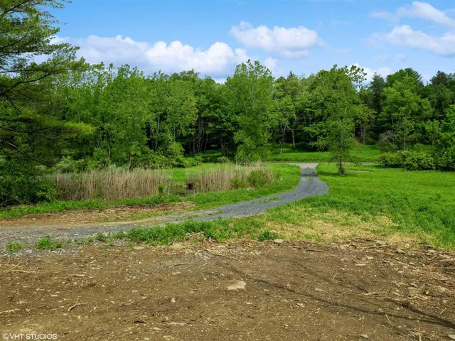 a view of a big yard with plants and a large tree