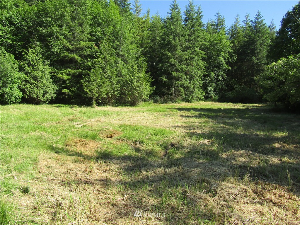 1 Guerrier Road Chehalis, WA 98532 - Photo 1 of 10