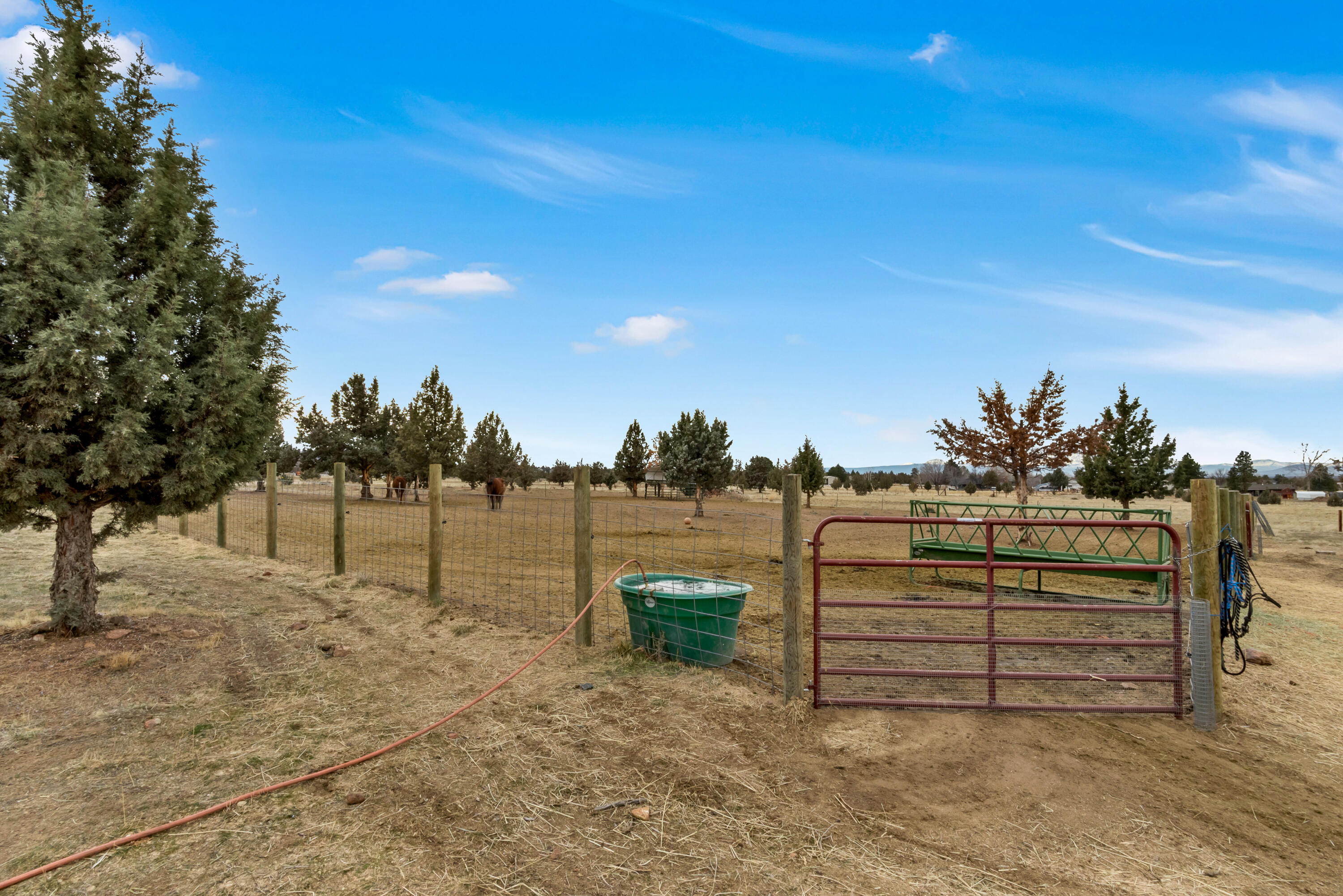 12110 South W Riggs Road Powell Butte, OR 97753 - Photo 26 of 29 OReilly_20260127_49_424962_8x12