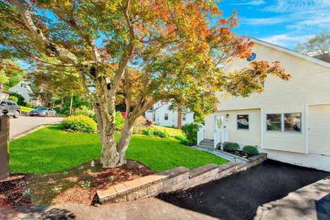 a view of backyard with a garden and trees