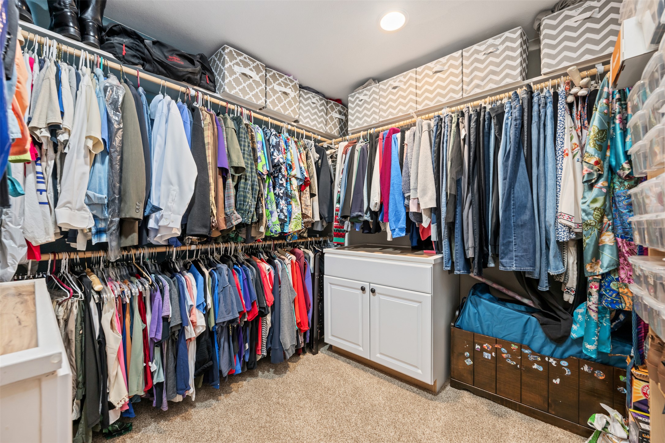6501 County Road 239 Jarrell, TX 76537 - Photo 16 of 40 Primary Bedroom Walk in closet with light carpet, built in cabinets & shelves