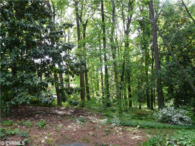 604 Gardiner Road Henrico, VA 23229 - Photo 8 of 9 Yard/Garden