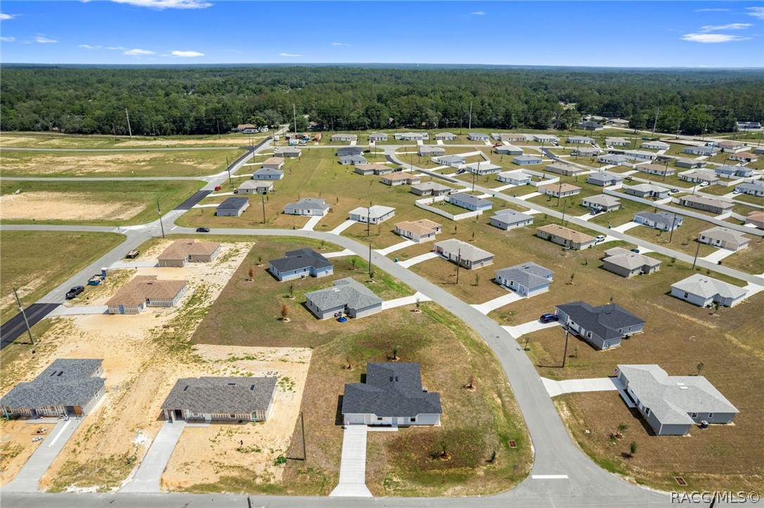 2159 West Nicholas Shane Drive Dunnellon, FL 34434 - Photo 16 of 38 Aerial Photo of Neighborhood