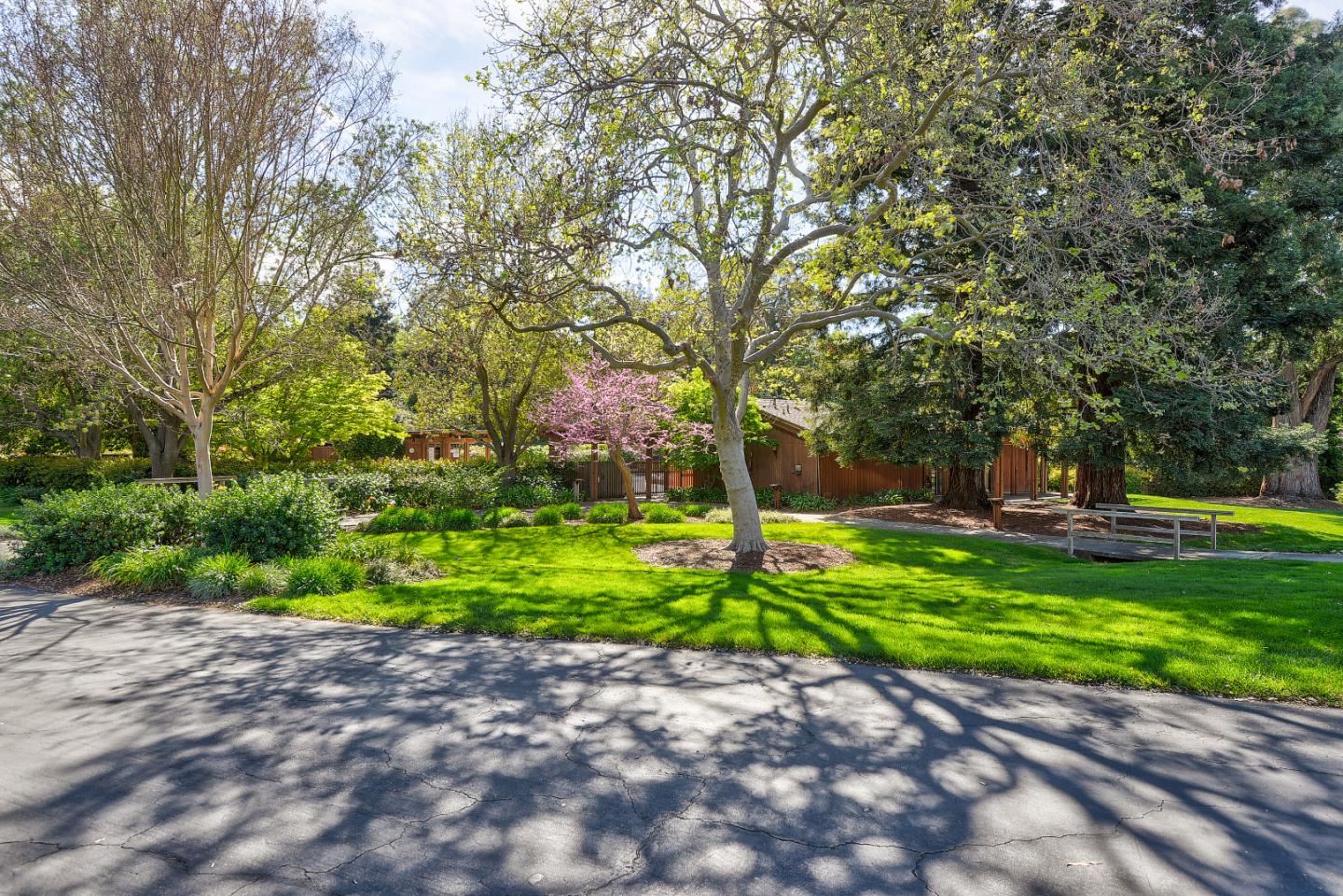 7 Farm Road Los Altos, CA 94024 - Photo 31 of 38 a view of a backyard with swimming pool