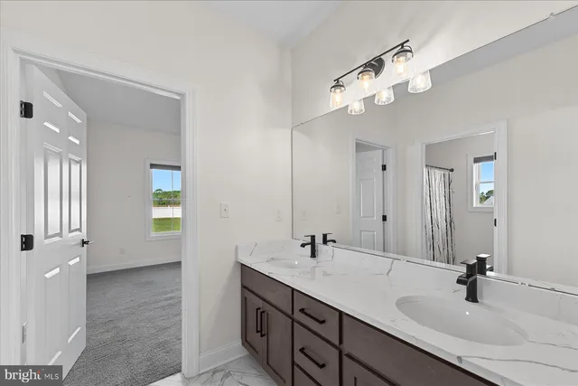 a bathroom with a double vanity sink a mirror and shower