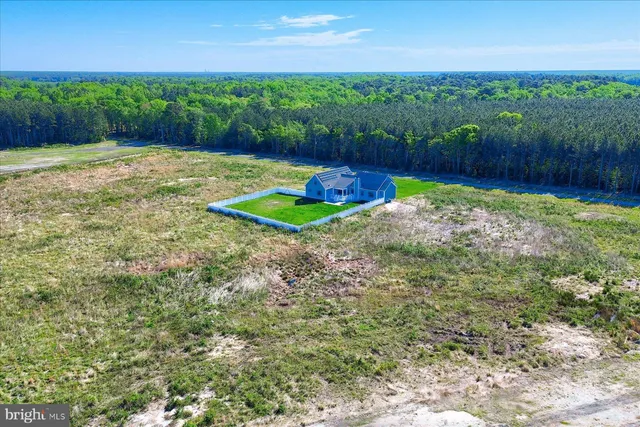 $3,800 | 36800 Peanut Tingle Road, Millsboro, DE 19966