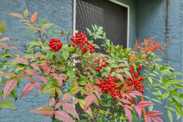 $525,000 | 6009 Greybridge Court, Elk Grove, CA 95758