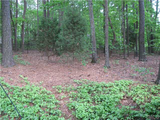 7816 Harps Mill Road Raleigh, NC 27615 - Photo 20 of 23