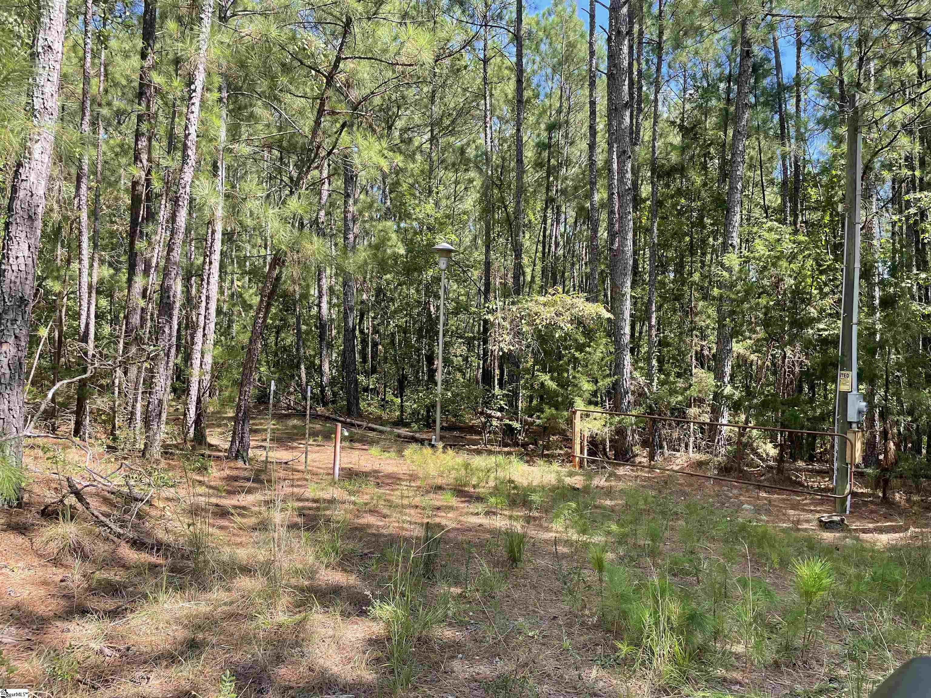 0 Riverfork Road, Unit 101 BUFFALO DRIVE Waterloo, SC 29384 - Photo 13 of 31 Gallery Image 13
