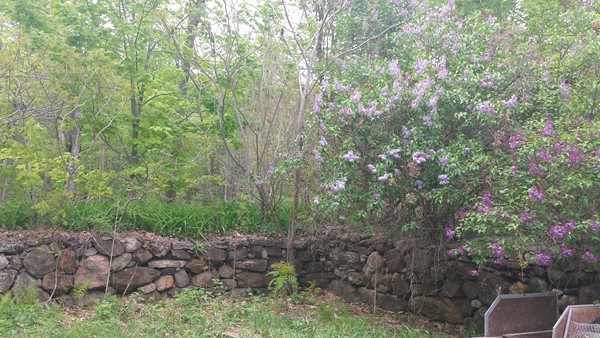 53 Butterworth Road Royalston, MA 01368 - Photo 26 of 30 Gallery Image 26