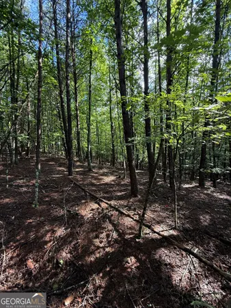 $65,000 | Lot 5 Marci Lane, Sautee Nacoochee, GA 30571