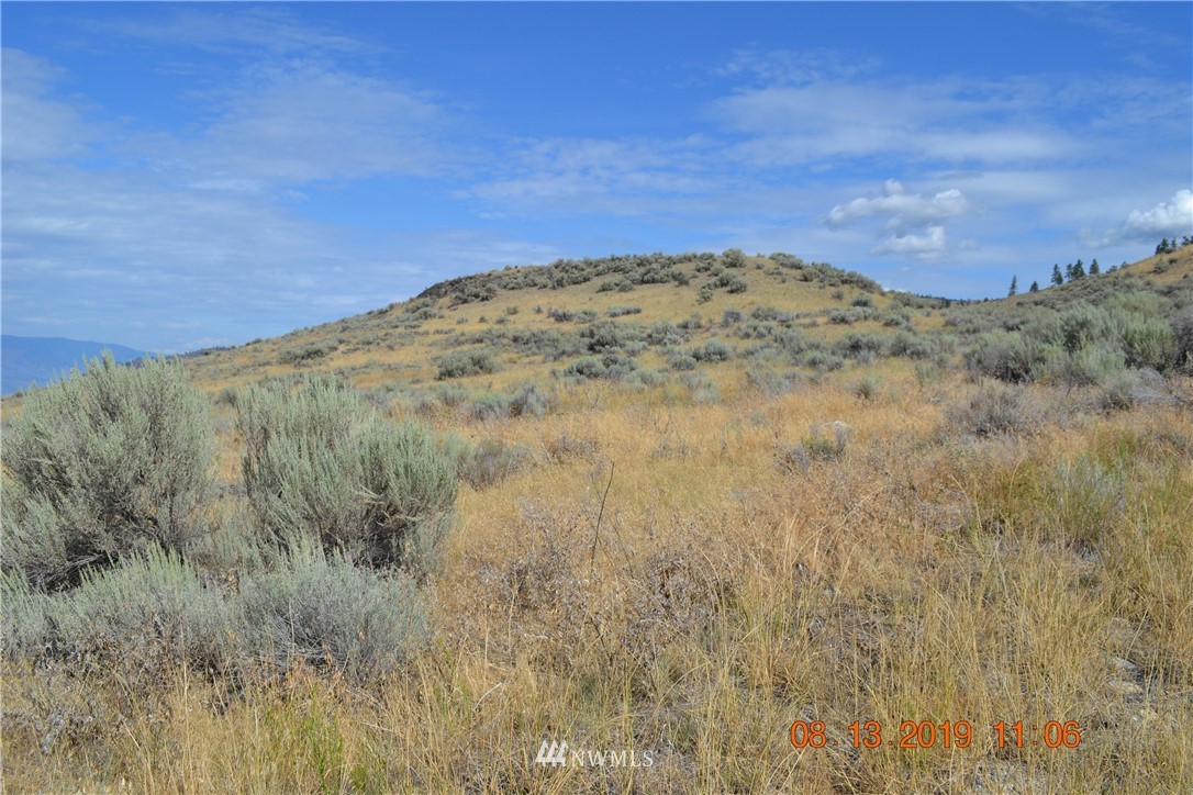 99 Sunset Ridge Road Oroville, WA 98844 - Photo 16 of 16 Gallery Image 16