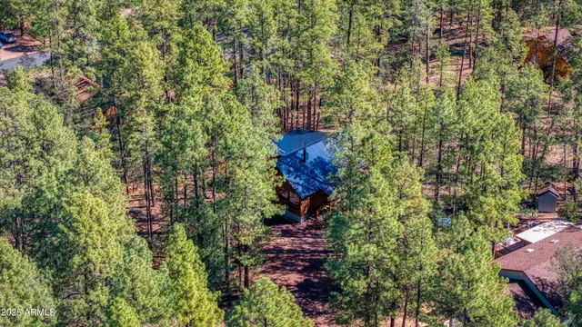 a bird view of building