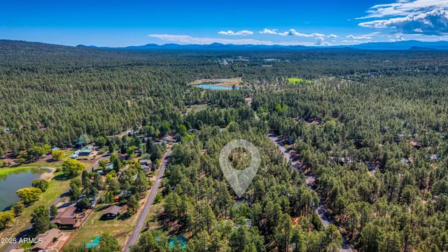 a view of a city with lots of potted plants