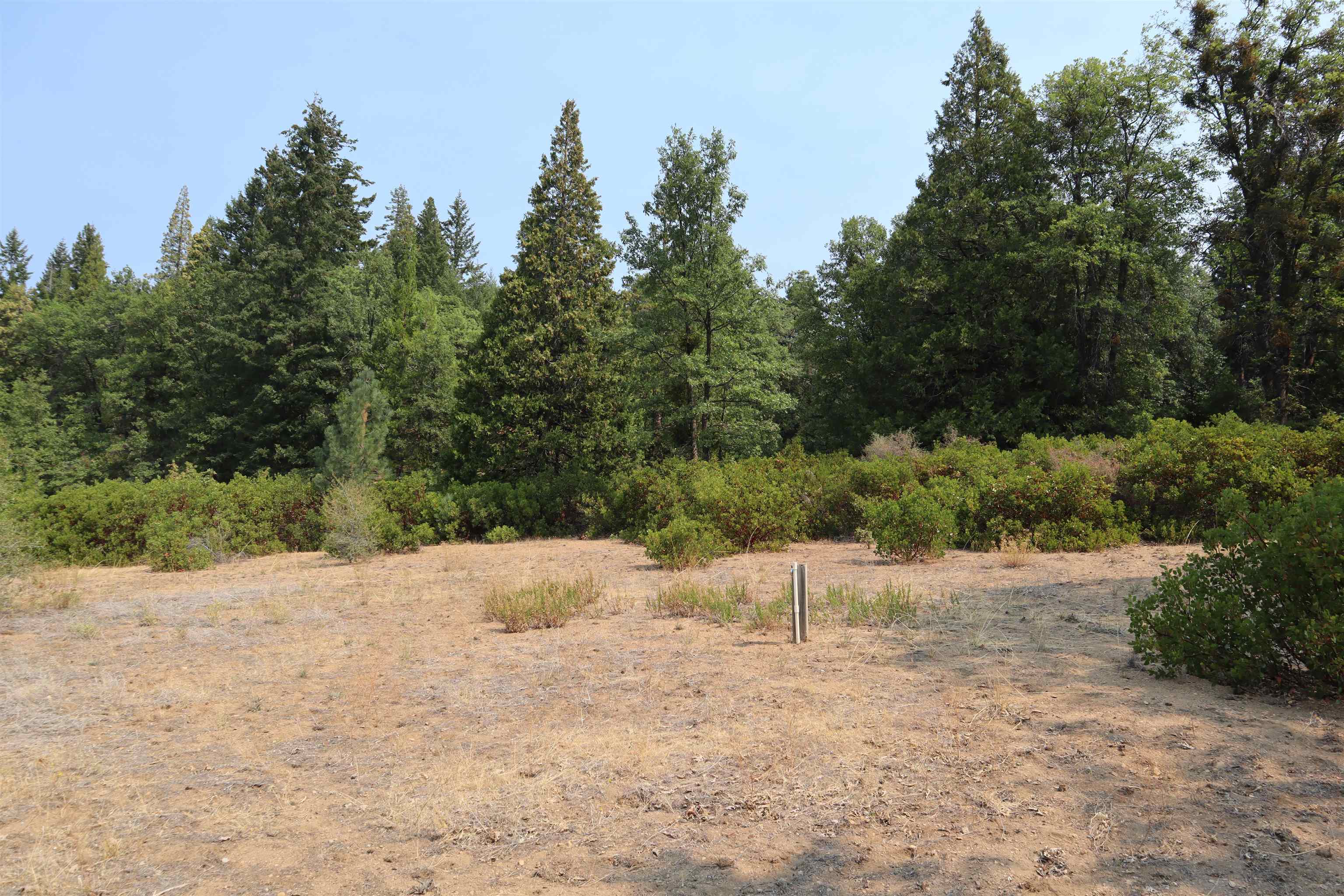 0 Old McCloud Road Mount Shasta, CA 96067 - Photo 8 of 18 Gallery Image 8