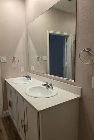 a bathroom with a sink and a mirror