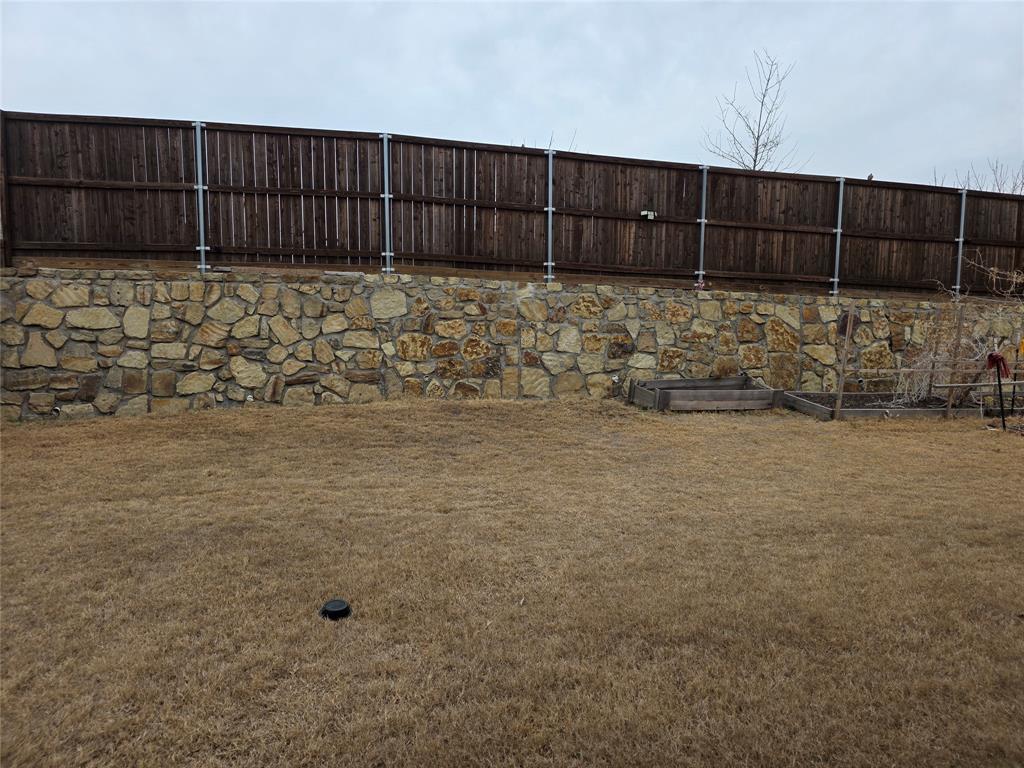 3209 Appleton Street Little Elm, TX 75068 - Photo 16 of 17 View of yard