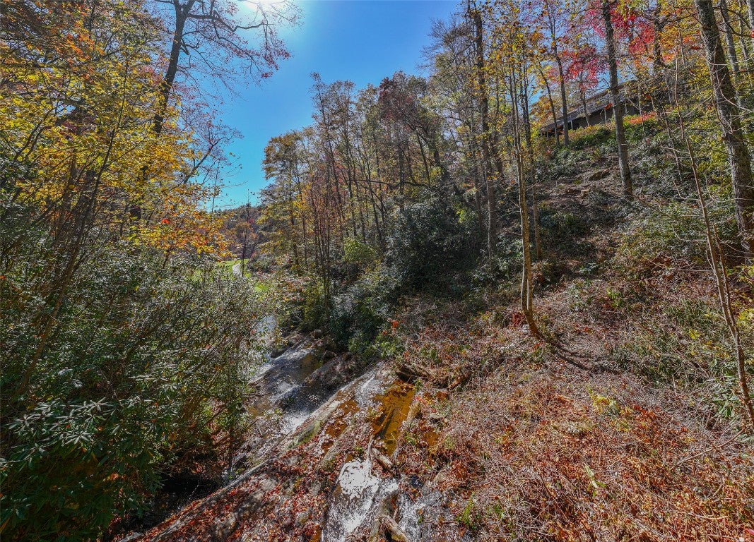 17 River Overlook Road Sapphire, NC 28774 - Photo 48 of 51 Gallery Image 48