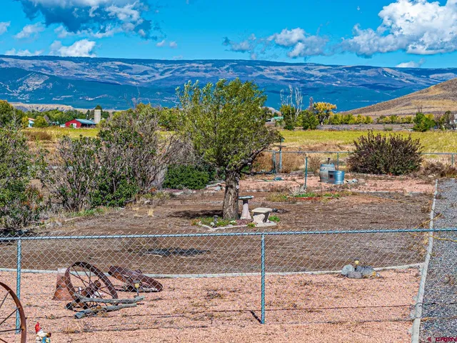 a view of a yard with an outdoor space