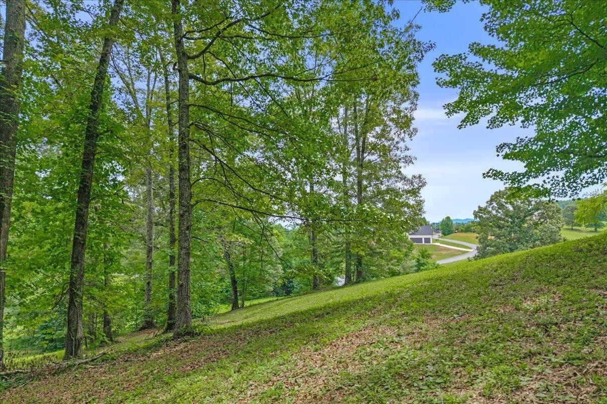 34 Springwater Madisonville, TN 37354 - Photo 13 of 13