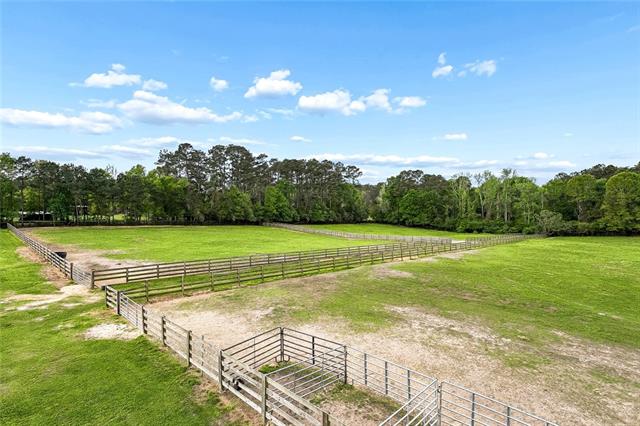 14712 Graci Road Folsom, LA 70437 - Photo 16 of 20