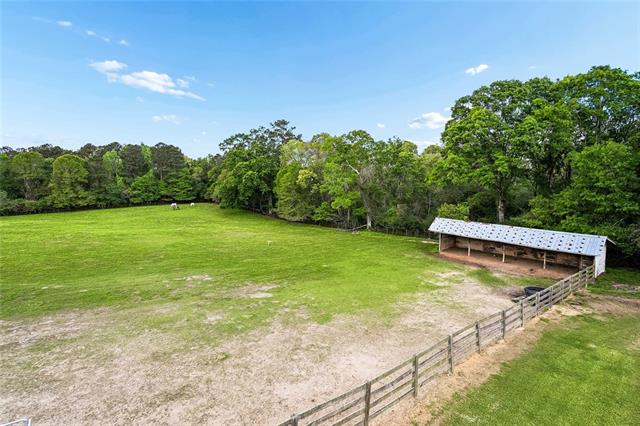14712 Graci Road Folsom, LA 70437 - Photo 17 of 20