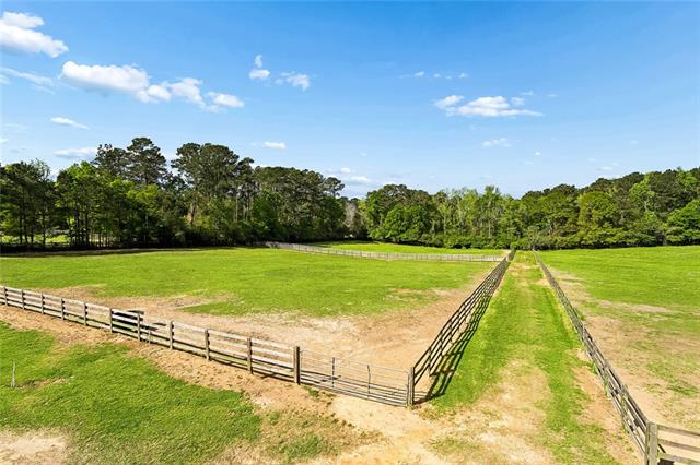 14712 Graci Road Folsom, LA 70437 - Photo 18 of 20