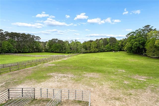 14712 Graci Road Folsom, LA 70437 - Photo 5 of 20