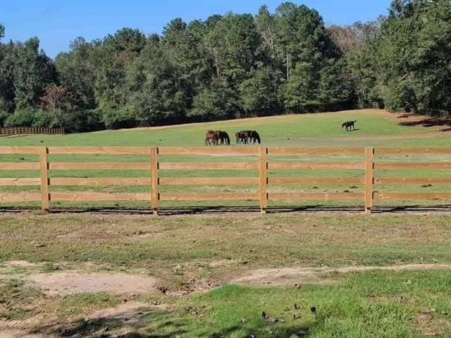 14712 Graci Road Folsom, LA 70437 - Photo 6 of 20
